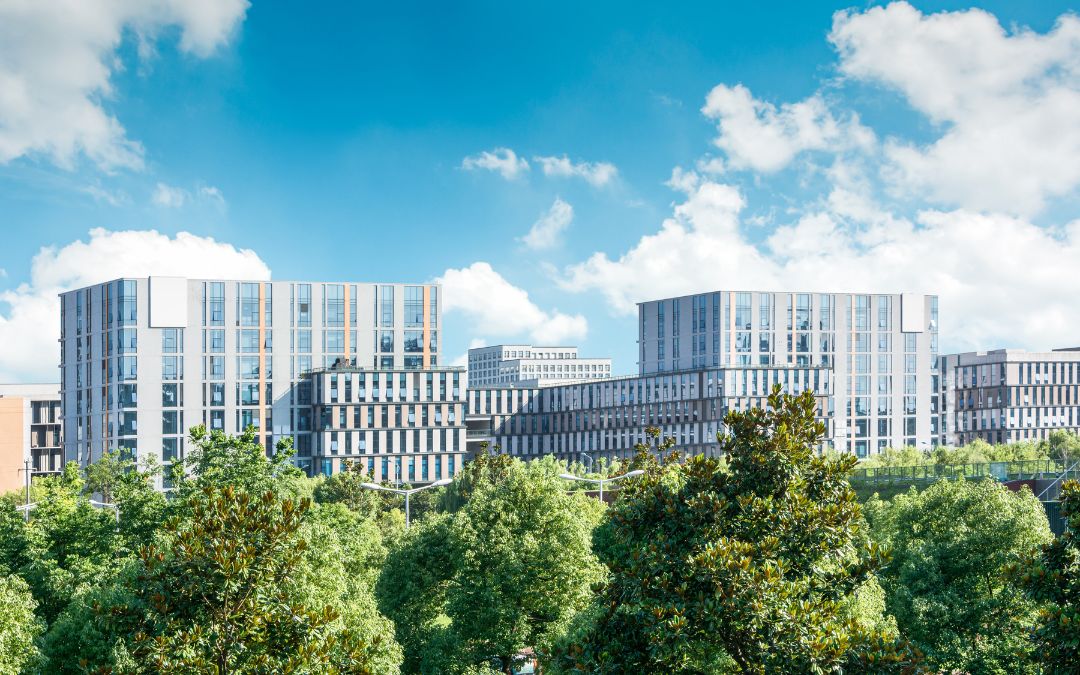 El impacto ambiental de los derribos y cómo mitigarlo